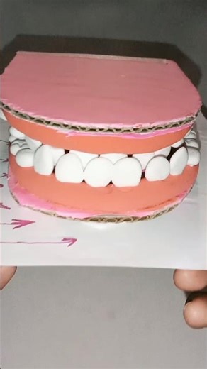 ​DIY Human Teeth Model! 🦷 Easy School Science Project#school #science #shorts #ytshorts