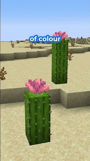 Everything NEW in Minecraft 1.21.5 "Spring to Life"