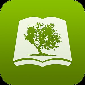 Bible by Olive Tree
