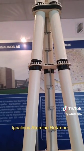 Model of the Ignalina Nuclear Power Plant with RBMK-1500 Reactors