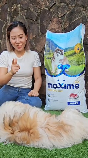 “Max has brought us happiness ever since he came into our lives. He is super malambing and is our stress-reliever. I treated him like my real baby. I always make sure that he is being well taken care or and getting proper nutrition. That's why when it comes to his food, hindi ko talaga tinitipid, I give him Maxime Elite. Besides from the delicious flavors, it also contains high-quality ingredients that are easy to digest and prebiotics that helps support healthy growth. It helps your puppy to be