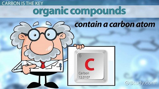 IUPAC Naming for Organic Compounds | Rules, Process & Examples