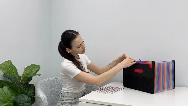 Watch 26 Pockets file organizer on Amazon Live