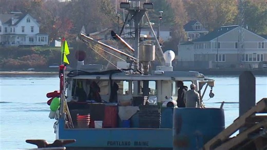 Atlantic cod catch off New England coast reaches new low