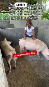  Besoin de conseils pour votre projet d'élevage ? Chez NDE Consulting, nous transformons vos idées en réussite !   Analyse détaillée de votre projet  Études de faisabilité  Stratégies innovantes Prenez une longueur d'avance en vous faisant conseiller par nos experts. Suivez-nous pour des conseils exclusifs et bénéficiez d'une consultation personnalisée !  Pour entrepreneurs ambitieux : Prêts pour le prochain niveau ? | NDE consulting | Facebook