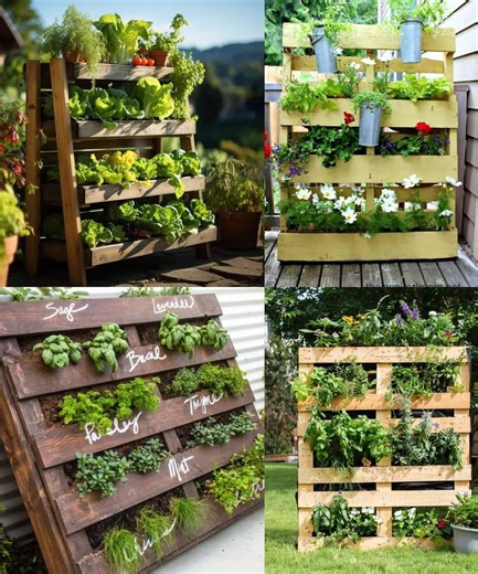 DrNoble Arya on Instagram: "10 Best Vertical Pallet Garden Ideas & DIY Basics 1. Herb Garden Idea: Grow fresh herbs like basil, parsley, thyme, and mint. DIY Basics: Secure a wooden pallet to a wall or fence. Fill gaps with small pots or pockets made from landscape fabric. Plant herbs for easy access while cooking. 2. Succulent Wall Idea: Design a colorful succulent wall. DIY Basics: Attach chicken wire to the front of the pallet. Fill with soil and moss, then insert succulent cuttings through t