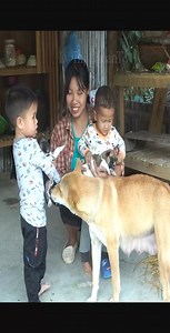 28K views · 535 reactions | Dung and Dau love Puppies​​ #reels #puppies #life #dung #dau | Sandy Vlogs | Facebook