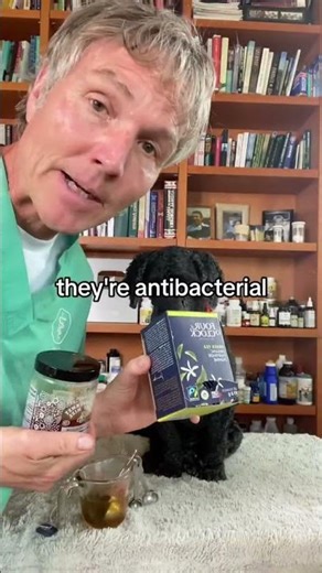 If your dog has a UTI you should try this inexpensive yet effective home remedy!