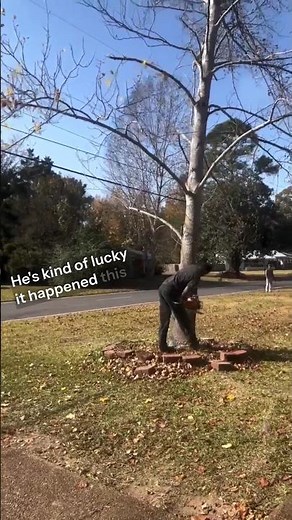 Cutting a Tree Unexpectedly