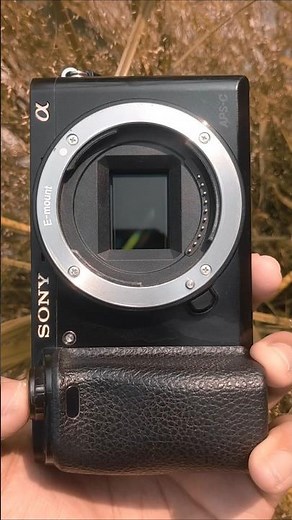 Camera Burst Sound Effect | High Speed Shutter Sound Effect | #asmr #shuttersound #camera #dslr
