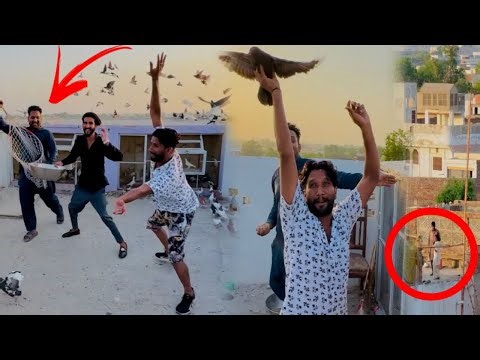 Pervaz kay 2 kabutaron ko kaise pakda 😮😮