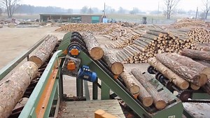 Here is a complete sawmill line for cutting medium-dimensional timber. It includes a log feeder, roller tables, trak, base tables, multi-saws, feed tables, redlery and belt conveyors. Credit: Arkadiusz Pankowski | Engineers World