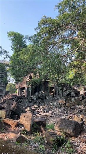 大プリアカン寺院の全体像 #travel #アンコールワット #カンボジア #カンボジア旅行 #カンボジア日本語ガイドチーム