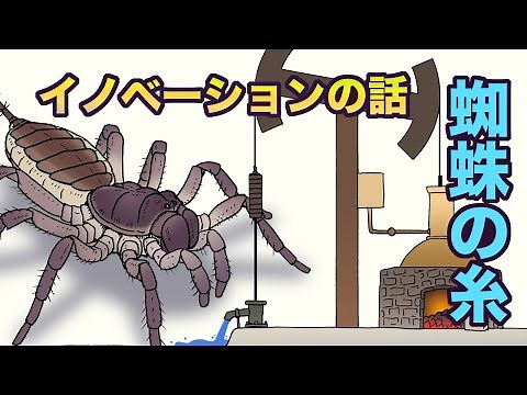 Spider Silk and Innovation: Earth's History, Part 35