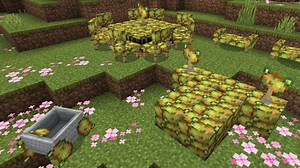 5 best things to do in Minecraft Poisonous Potato update