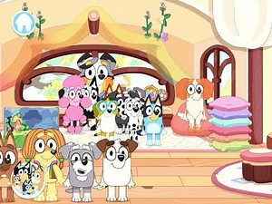 Dreams of Bluey. Season1. EP1. Bingo's First day of school