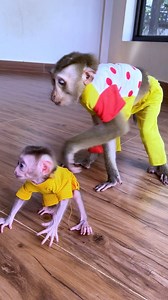 745K views · 10K reactions | Mama Judee So Caring & Worry The Tiny Maddox Learning To Walk | The Judy Family | Facebook