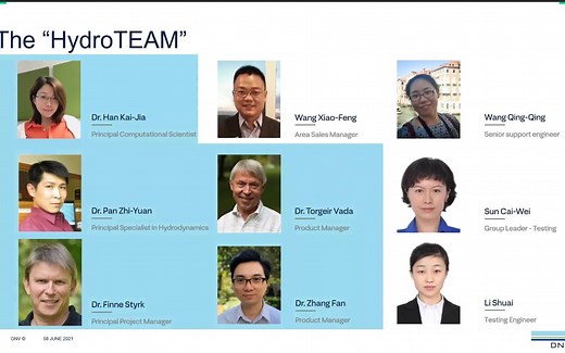 SESAM高级水动力功能