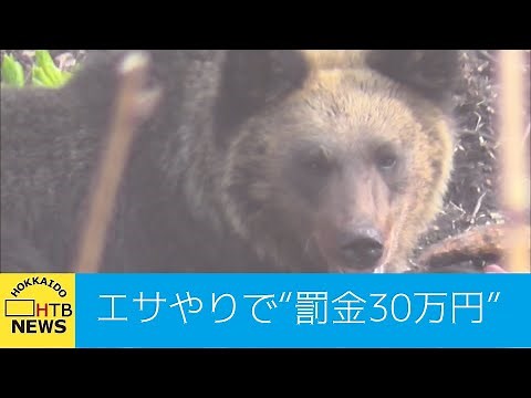 ヒグマと人の危険な距離 野生動物にエサやりで罰金３０万円へ…知床・世界自然遺産の実態とは
