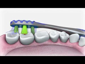 Colgate Tooth Brush 3D Animation