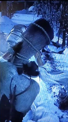 RdR2 how to find moose in red dead redemption 2