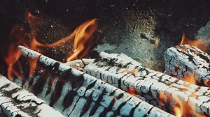 Firewood, Fire, Burning. Free Stock Video