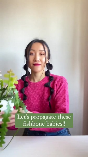 Fleur & Co. on TikTok