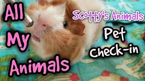 55 reactions · 7 comments | ALL Scotty's Animals Pet Check-In Full...