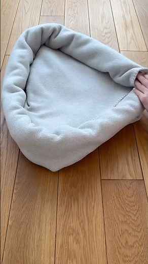 #JasonDeruloTV // Easy Way To Make A Pet Bed From A Blanket IG @catmurgel