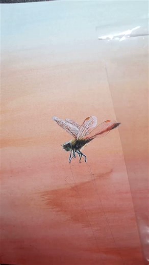 トンボを描きました！#絵 #色鉛筆 #art #イラスト #絵の具 #高校生
