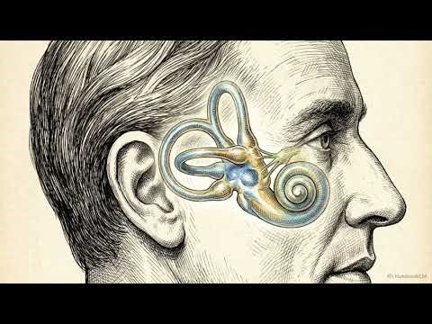 The Brain Hack: Why Failing Actually Makes You Smarter