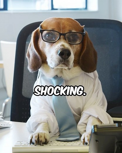 9.8K views · 216 reactions | Shocking Random Facts That Will Blow Your Mind 勞 We explore a series of shocking and bizarre facts about animals, food, and science, covering everything from moose heights to disturbing details about bar nuts and water recycling. We share surprising statistics about cow-related deaths, dolphin behaviors, and the myth of the five-second food rule. #RandomFacts #Weirdfacts #MindBlowing #FunFacts | Rare Viral Facts | Facebook