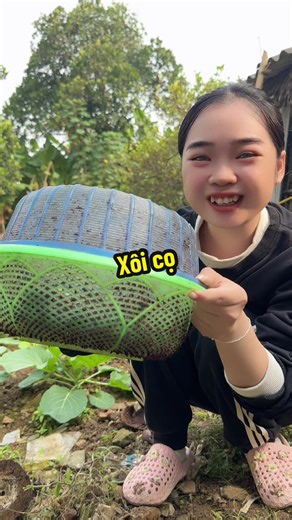 Xôi Cọ: Món Ăn Đặc Sản Miền Bắc