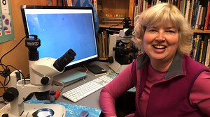 E3b3 Microscopes and Slides