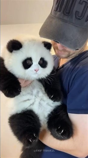 Cute to big animals transformation!!