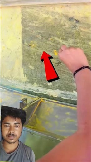 Stick a Coin Here & Watch Your Wish Come True 🪙🙏#miracle #coin #wish #ritual #faith#temple #bhakti