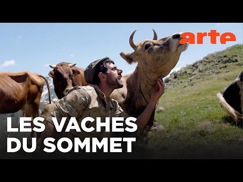 Turquie, les chemins de la transhumance | 360° Reportage | ARTE Family