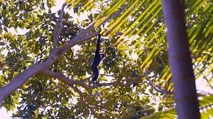 1.8K views · 108 reactions | Term 2 of A to Zoo is just around the...