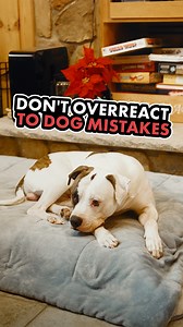 119K views · 3.9K reactions | How are YOU reacting to your dog's...