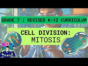 SCIENCE 7 | QUARTER 1 | LEARNING COMPETENCY 5 | MITOSIS