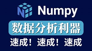 Numpy数据分析保姆级全套视频教程，新手小白必学！
