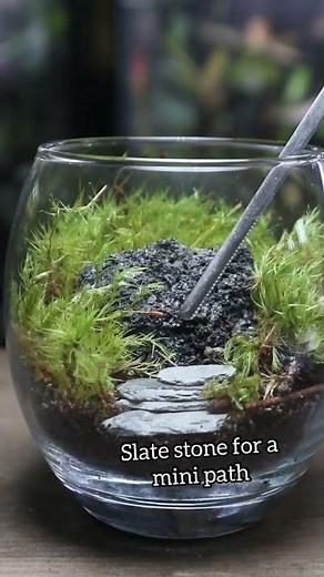 Hobbit House Terrarium - How To