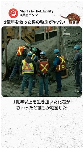 1億年の化石が発掘当日に真っ二つに砕け散る大事故…！絶望から救い出した男の執念がヤバすぎた【奇跡・恐竜】