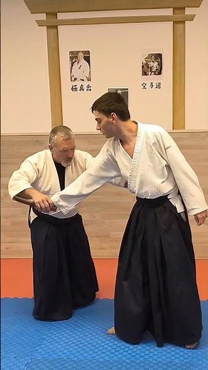 Aikido Tanto Dori Chudan Tsuki Kotegaeshi #aikido #training #parati #martialarts #practice #defence