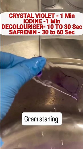 Gram Staining: A Step-by-Step Guide for Beginners