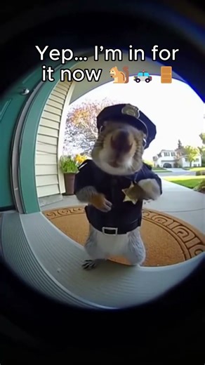 Neighborhood watch has evolved💀 (AI) #funny #memes #comedy #RingCam #Squirrel #AIMemes #cute #pets