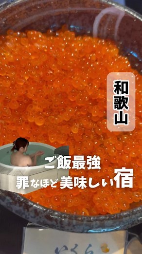 白浜温泉での贅沢な海とグルメ体験