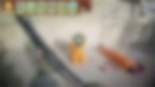 ⚠️植物大战僵尸 1515版