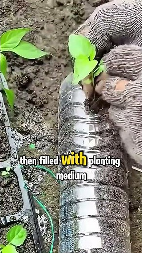 🧃 Turn Plastic Bottles into Vertical Gardens — Zero Cost, Max Green! #diygarden #UpcycledGardening