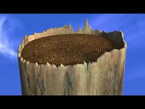 Ice Age 'Gone Nutty' Sound Design Demo